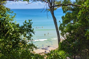 From Brisbane: Noosa & Eumundi Markets Small-Group Day Tour