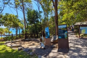 From Brisbane: Noosa & Eumundi Markets Small-Group Day Tour