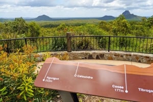 From Brisbane: Day Trip to Noosa, Glass House Mtns and Zoo