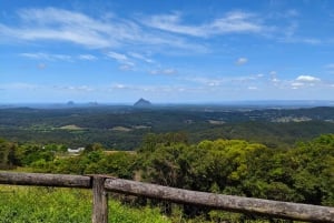 From Brisbane: Day Trip to Noosa, Glass House Mtns and Zoo