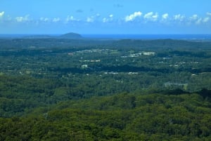 From Brisbane: Day Trip to Noosa, Glass House Mtns and Zoo