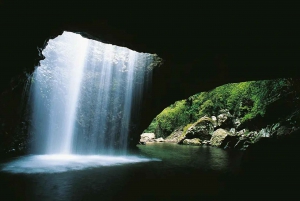 From Brisbane: Gold Coast Day Tour with Lunch