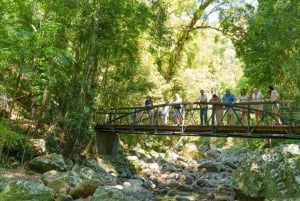 From Brisbane: Gold Coast Day Tour with Lunch