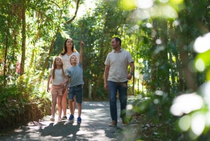 From Brisbane: Gold Coast Day Tour with Lunch