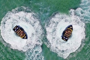 From Brisbane: Gold Coast Day Tour with Lunch