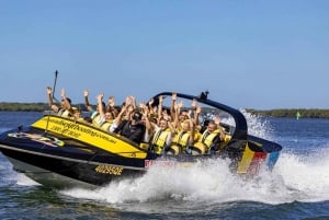 From Brisbane: Gold Coast Day Tour with Lunch