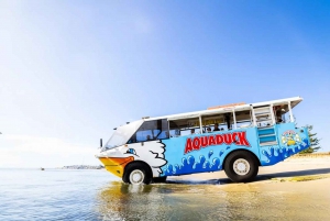 From Brisbane: Gold Coast Day Tour with Lunch