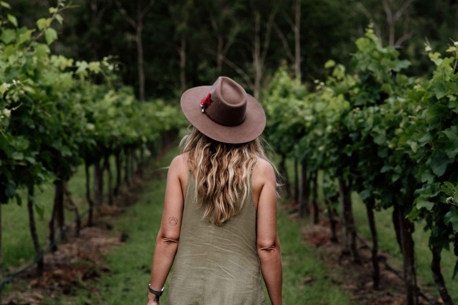 Brisbane: Luxury Winery Tour with Gourmet Lunch & Distillery