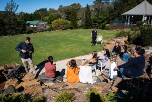 Brisbane: Luxury Winery Tour with Gourmet Lunch & Distillery