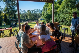 Brisbane: Luxury Winery Tour with Gourmet Lunch & Distillery