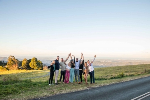 Brisbane: Luxury Winery Tour with Gourmet Lunch & Distillery