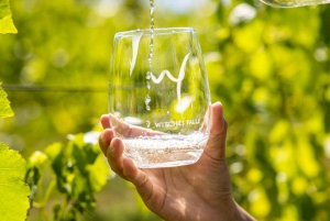 Brisbane: Luxury Winery Tour with Gourmet Lunch & Distillery