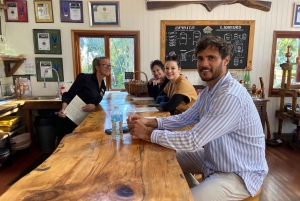 BNE - MtTamborine All Inclusive Tour with Lunch and Tastings