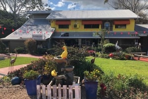 BNE - MtTamborine All Inclusive Tour with Lunch and Tastings