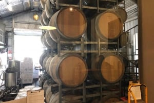 BNE - MtTamborine All Inclusive Tour with Lunch and Tastings