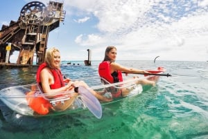 From Brisbane or Gold Coast: Moreton Island Full-Day Trip