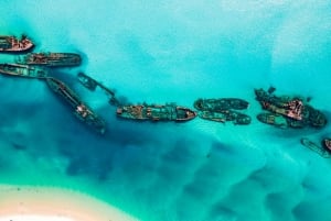 From Brisbane or Gold Coast: Moreton Island Full-Day Trip