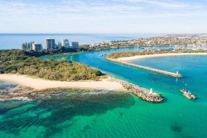 From Brisbane: Queensland Zoo and Sunshine Coast Day Trip