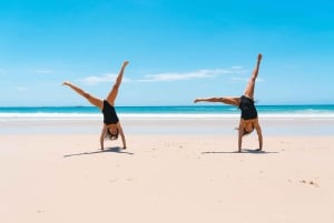 Brisbane: Stradbroke Island Eco Tour - Small Group, Full Day