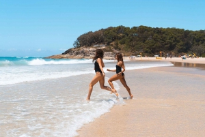 Brisbane: Stradbroke Island Eco Tour - Small Group, Full Day