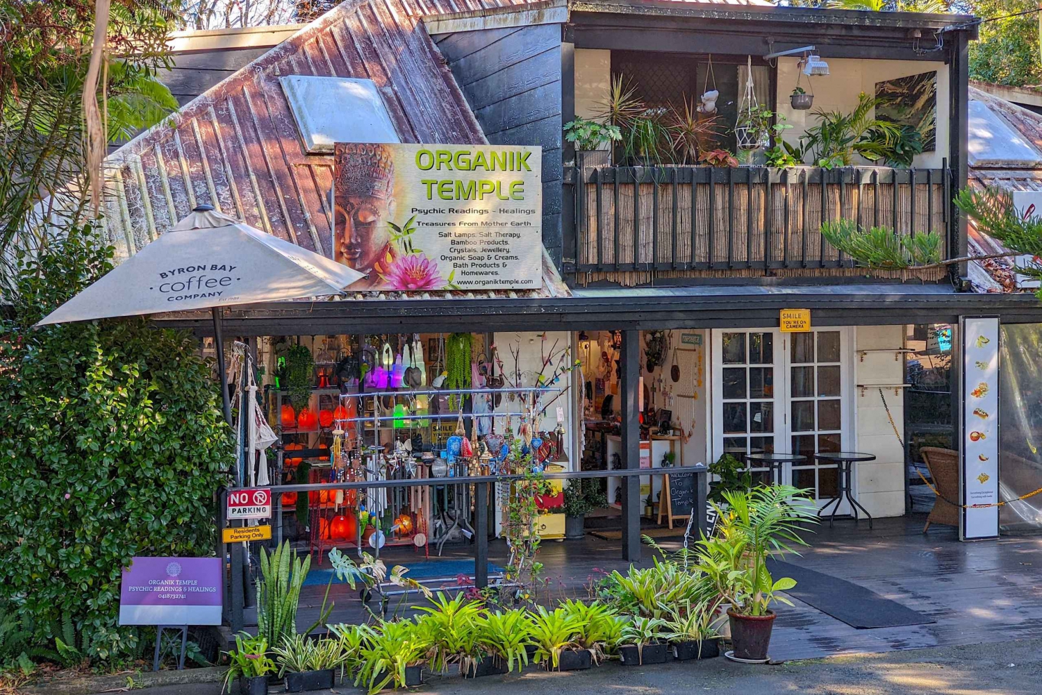 From Brisbane: Tamborine Mountain and Paradise Point Tour