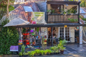 From Brisbane: Tamborine Mountain and Paradise Point Tour