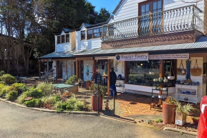 From Brisbane: Tamborine Mountain and Paradise Point Tour