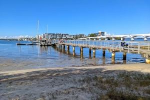 From Brisbane: Tamborine Mountain and Paradise Point Tour