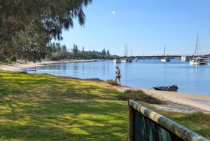 From Brisbane: Tamborine Mountain and Paradise Point Tour