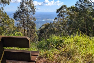 From Brisbane: Tamborine Mountain and Paradise Point Tour