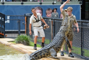 From Gold Coast : Australia Zoo Transfer and Entry Ticket