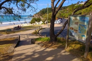From Gold Coast: Byron Bay and Bangalow Day Tour
