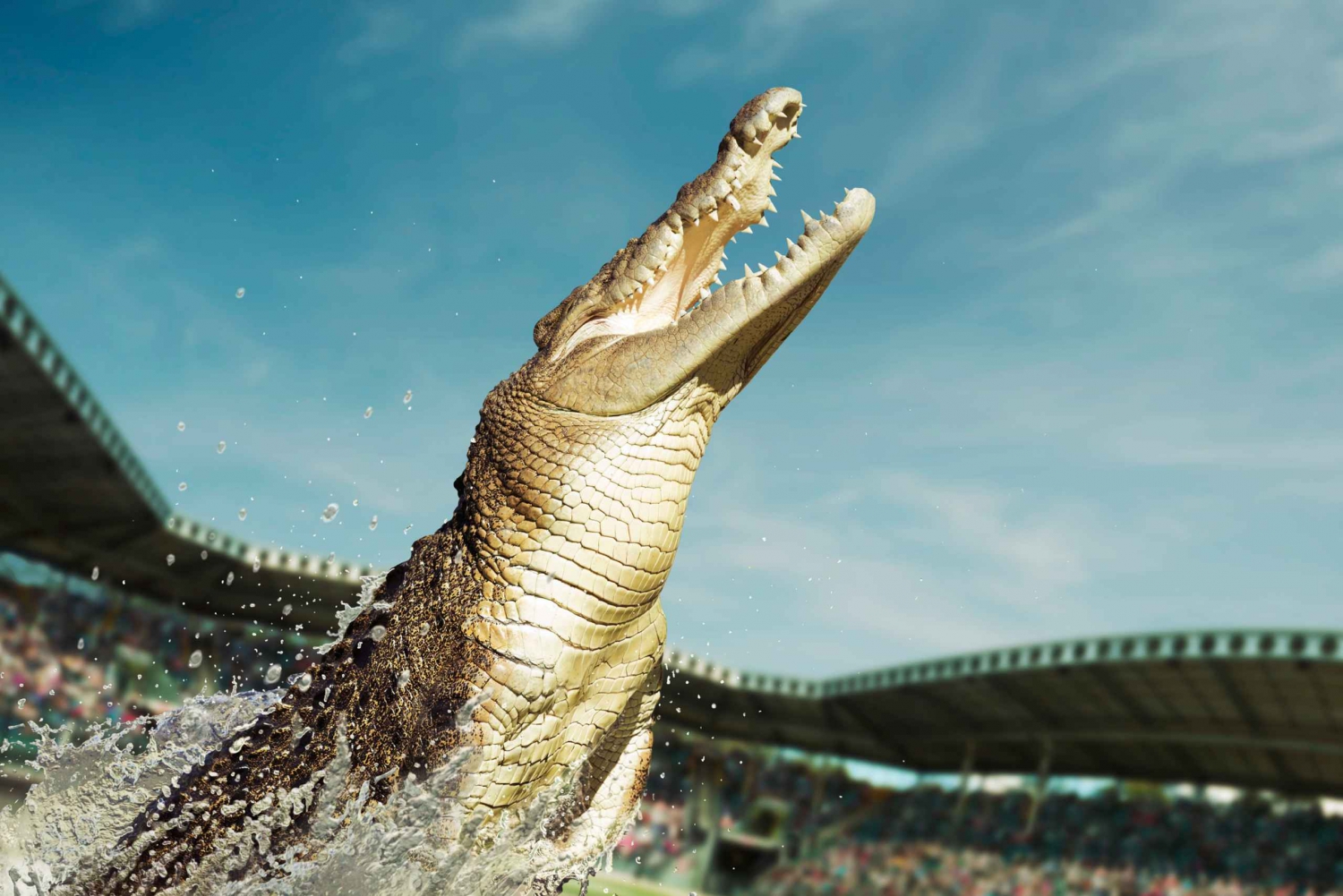 From Sunshine Coast: Australia Zoo Entry Ticket and Transfer