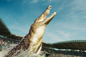 From Sunshine Coast: Australia Zoo Entry Ticket and Transfer