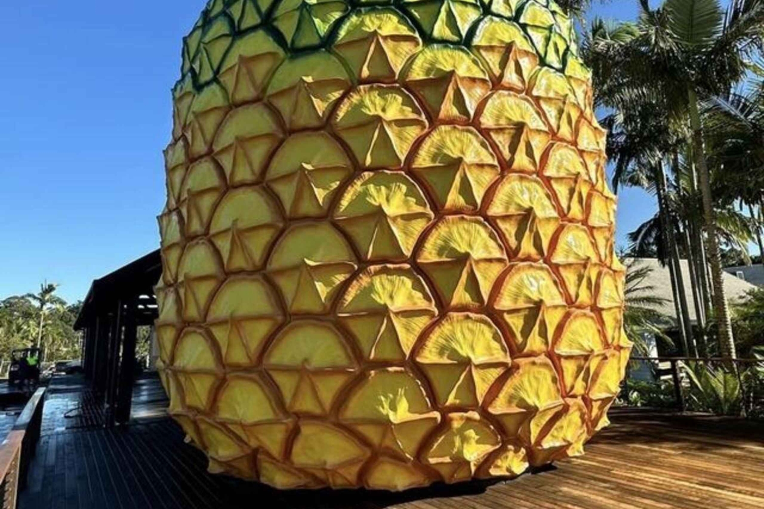 Glass House Mountains: Big Pineapple & Caloundra Markets