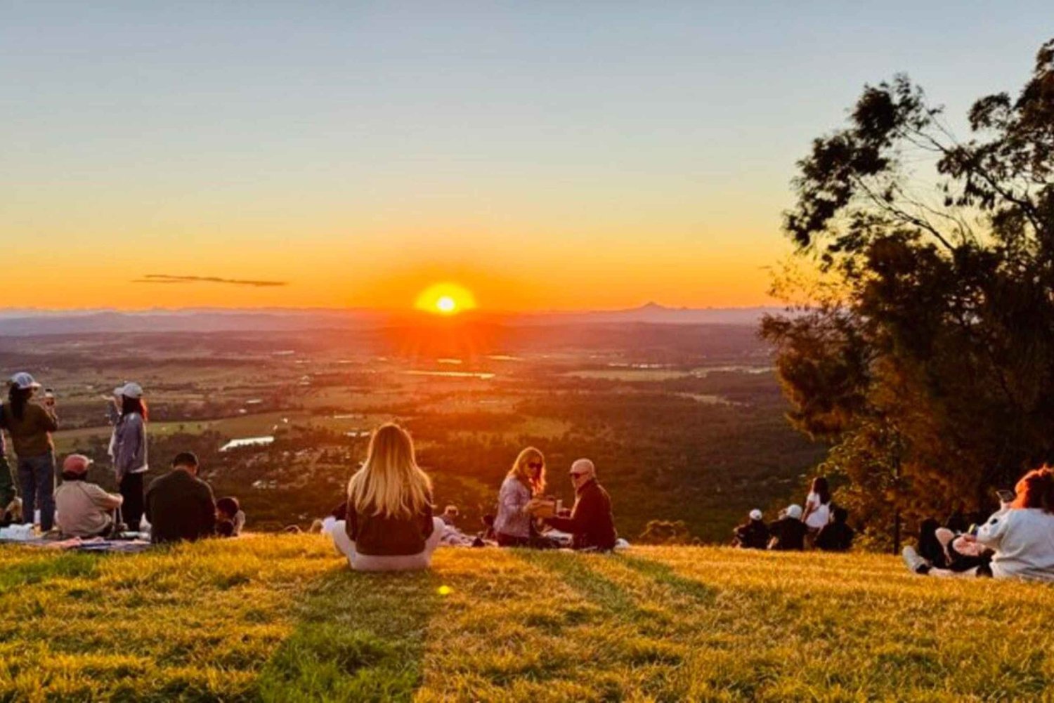 Gold Coast: Glow Worms, Sunset & Stargazing with BBQ dinner