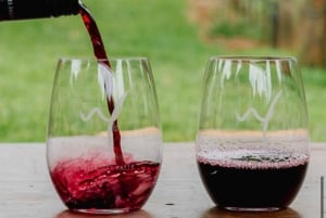 Gold Coast: Glow Worms, Sunset & Stargazing with BBQ dinner