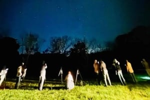 Gold Coast: Glow Worms, Sunset & Stargazing with BBQ dinner