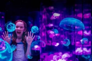 Gold Coast: Movie World, Sea World, & Wet’n’Wild 5-Day Pass