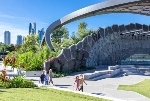 Gold Coast Surfers Paradise Private Tour from Brisbane