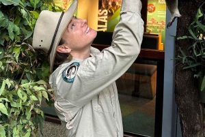 Gold Coast Surfers Paradise Private Tour from Brisbane