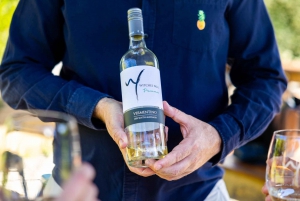 Gold Coast: Tamborine Mountain Local Winery Tour with Lunch