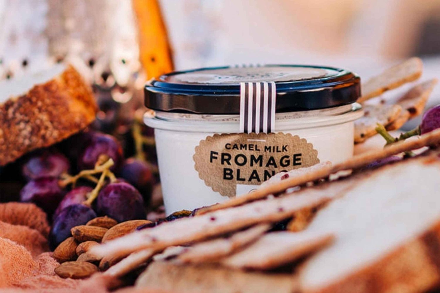 Harrisville: Summer Land Camel Farm Tour with Tasting