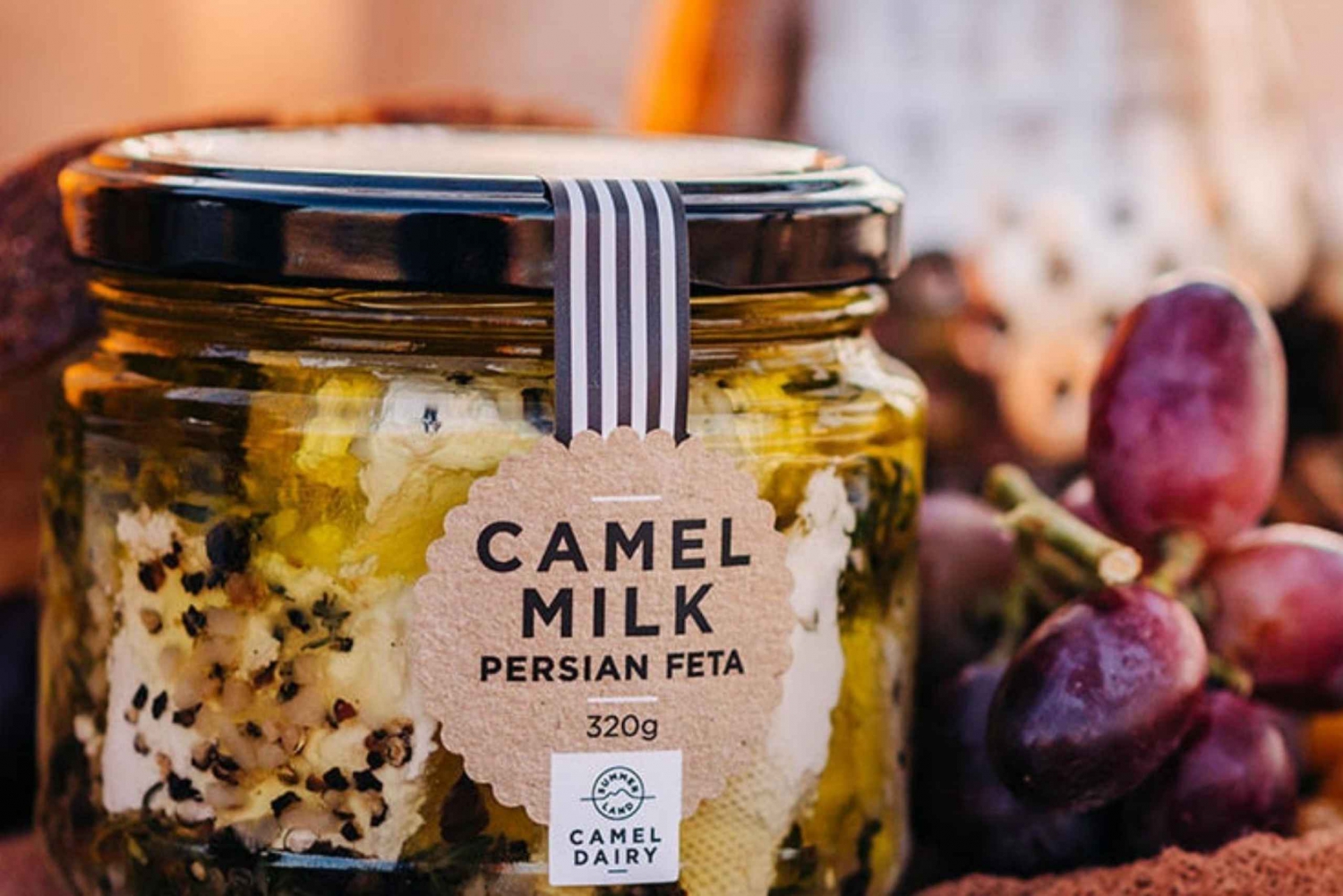 Harrisville: Summer Land Camel Farm Tour with Tasting