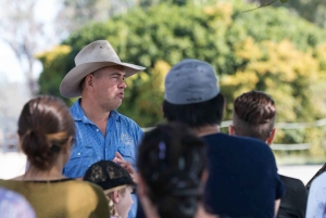 Harrisville: Summer Land Camel Farm Tour with Tasting