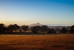 Harrisville: Summer Land Camel Farm Tour with Tasting