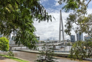 Hop on Hop off - Brisbane City - The Heart of Brisbane