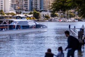 Hop on Hop off - Brisbane City - The Heart of Brisbane
