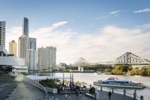 Hop on Hop off - Brisbane City - The Heart of Brisbane