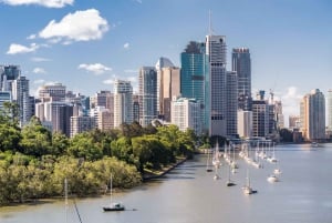 Hop on Hop off - Brisbane City - The Heart of Brisbane